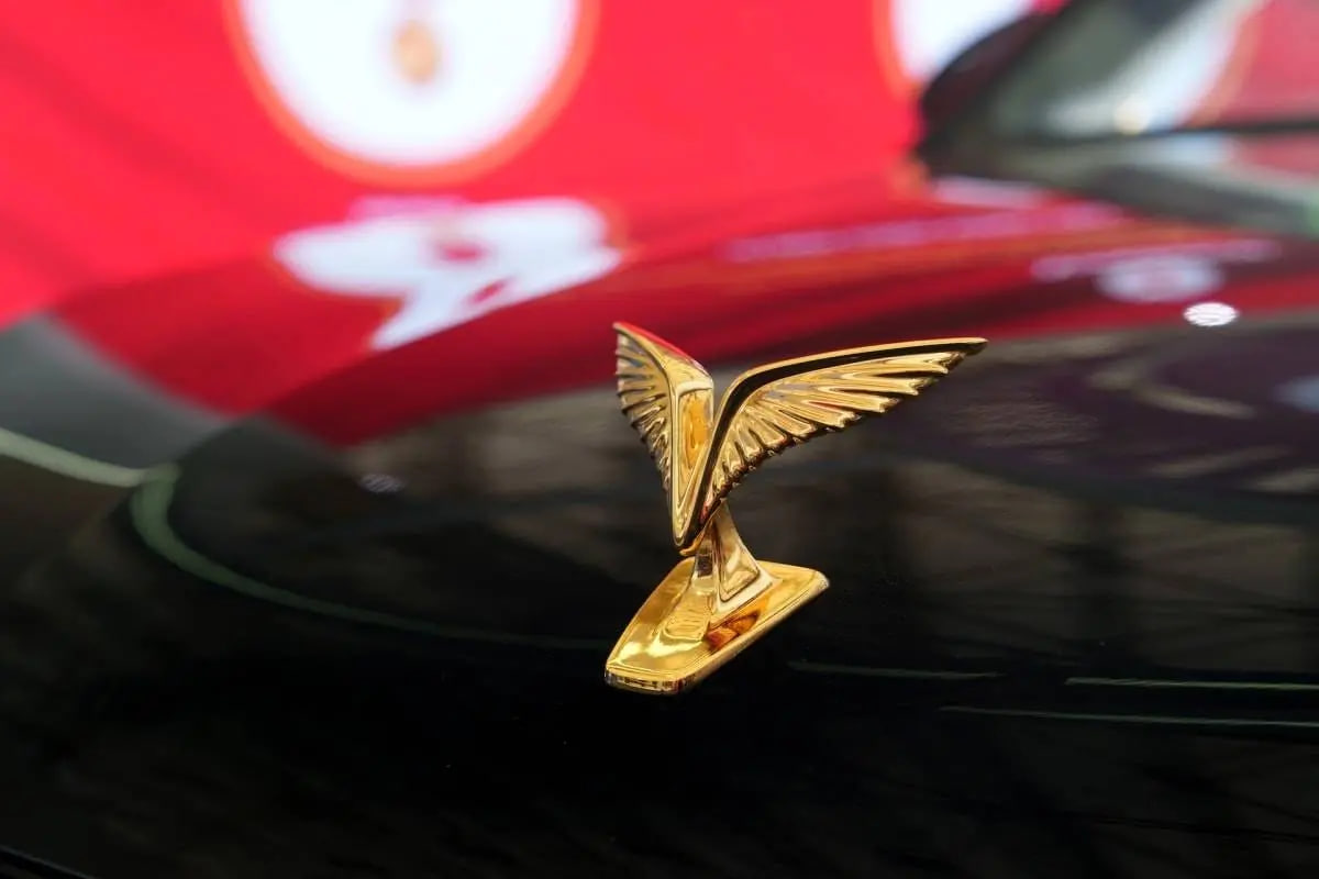 photo_2025-10-03_08-27-26