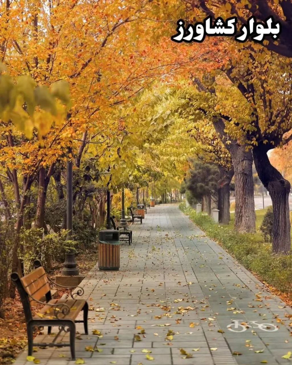 photo_2025-09-30_13-05-39