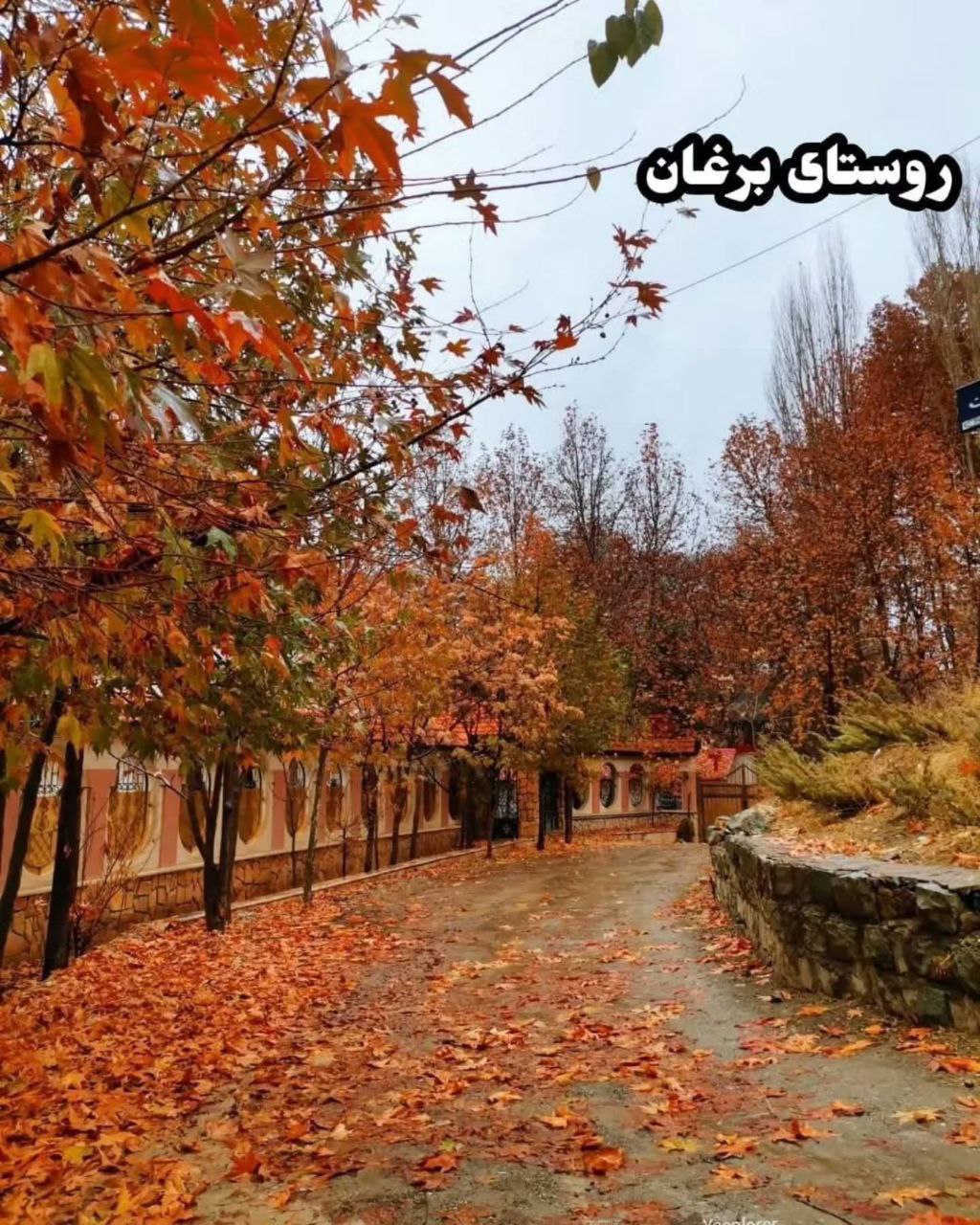 photo_2025-09-30_13-05-48