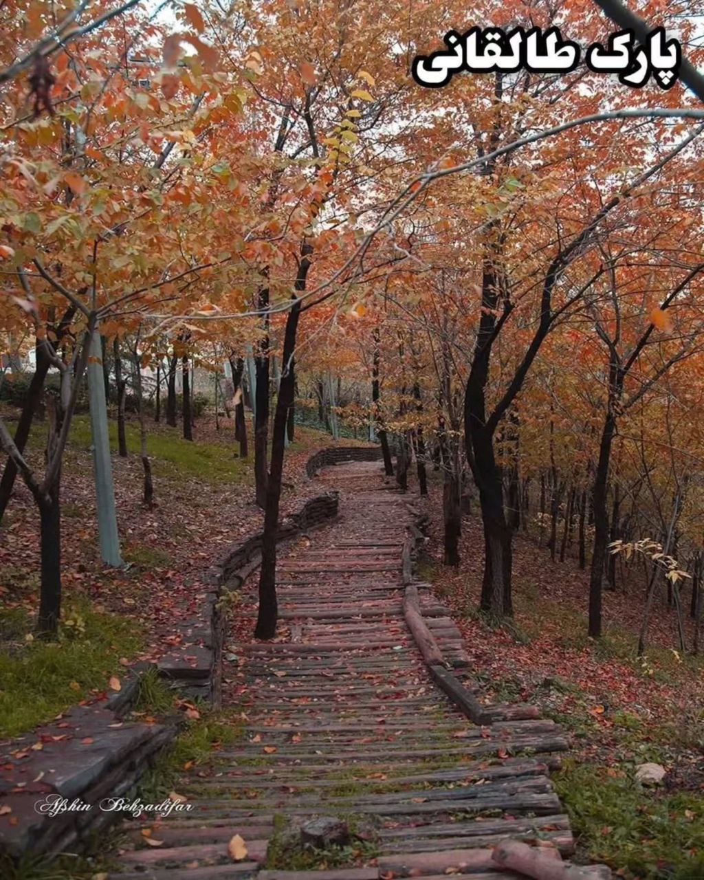 photo_2025-09-30_13-05-30