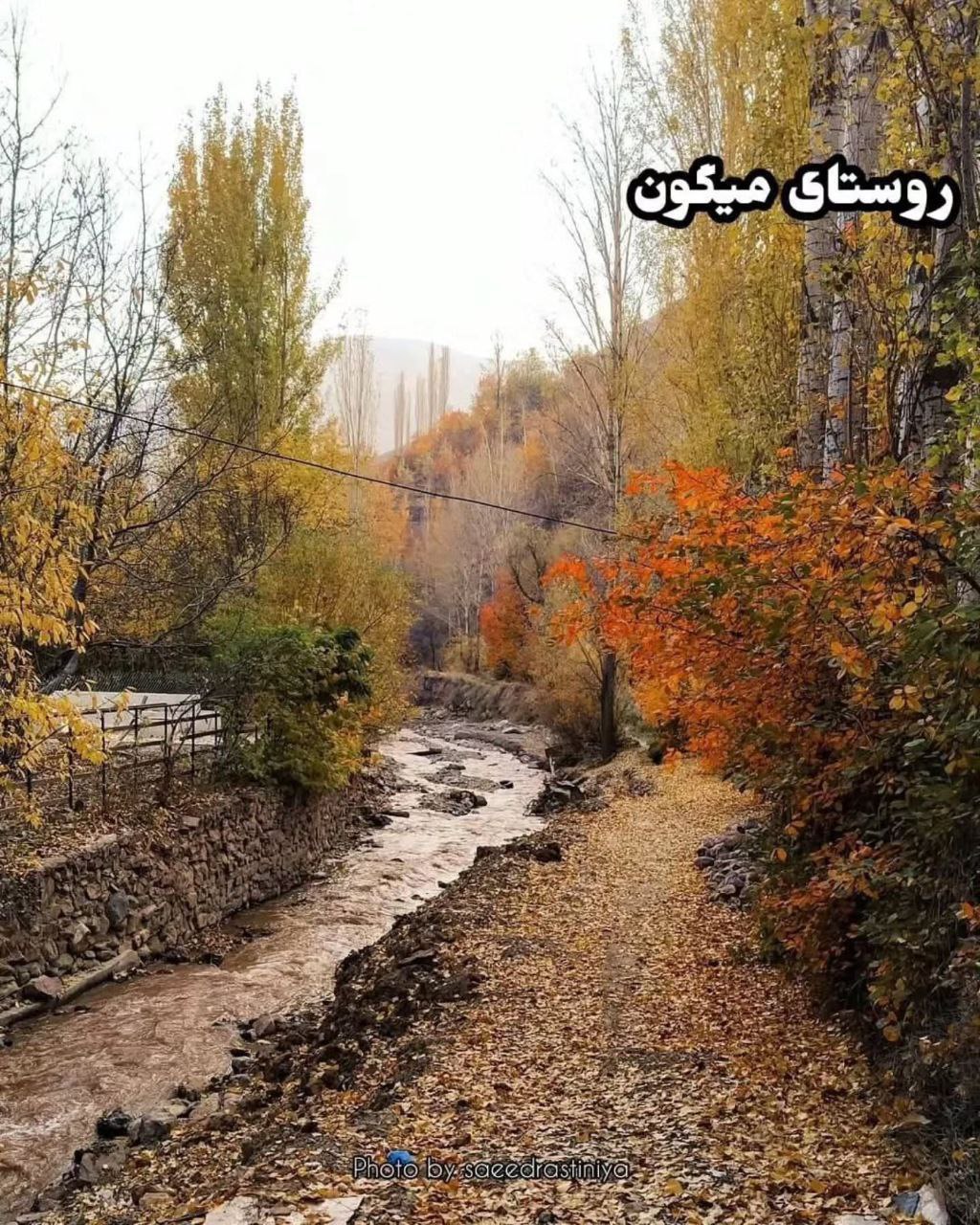 photo_2025-09-30_13-05-28