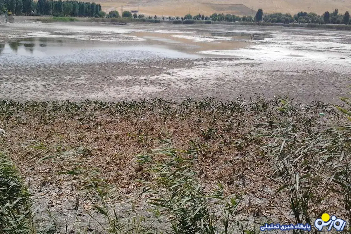 «سراب نیلوفر» دیگر وجود ندارد