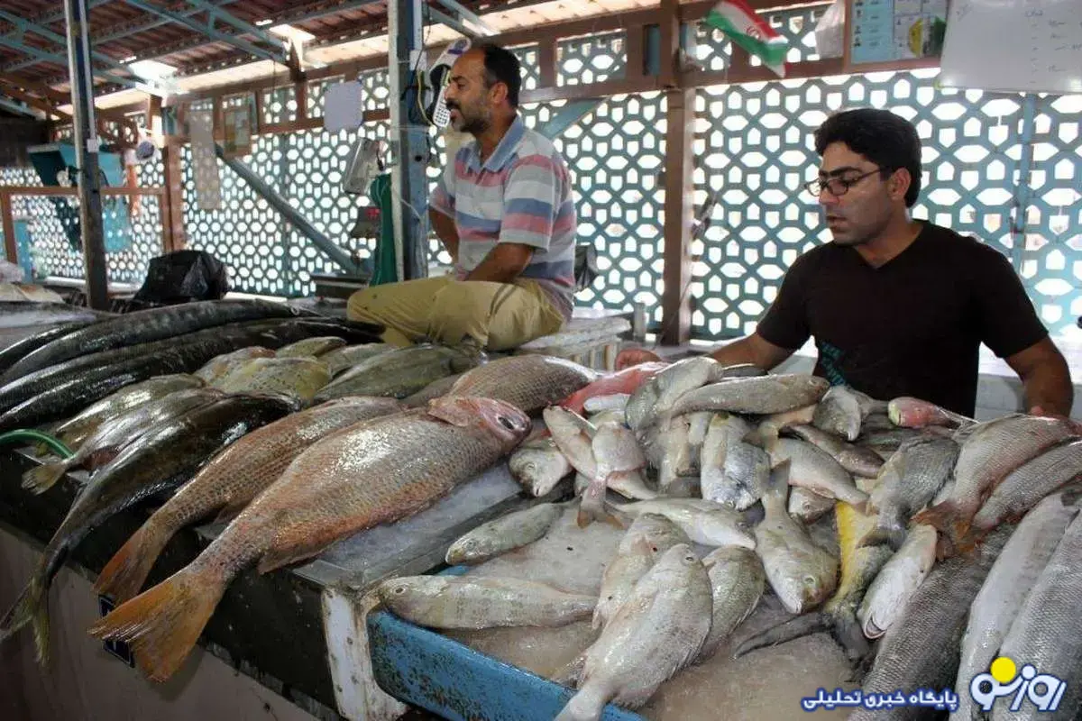 مقصر گرانی ماهی شناسایی شد!