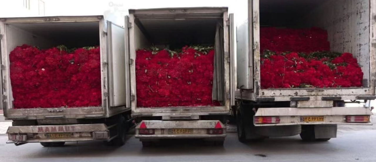 photo_2025-10-06_08-07-39