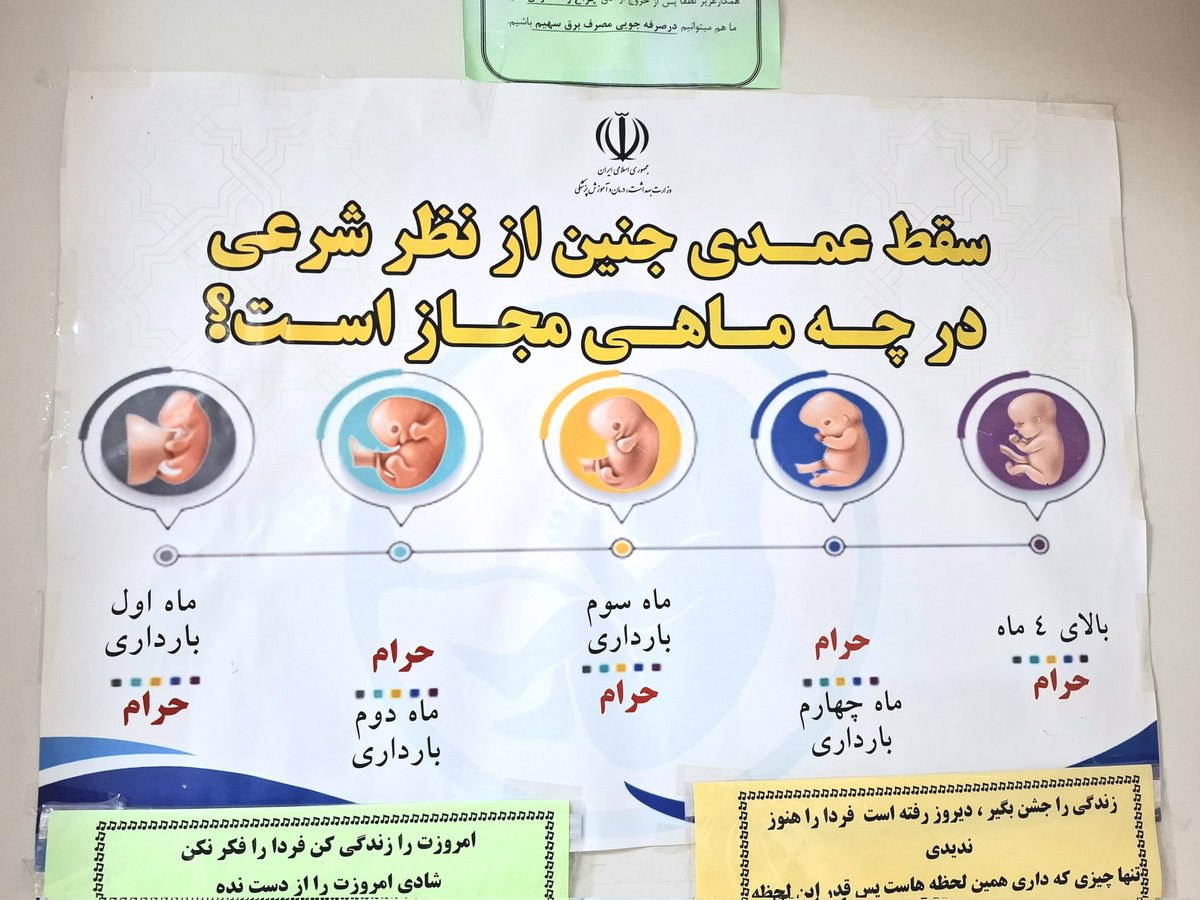 photo_2025-10-08_09-21-25