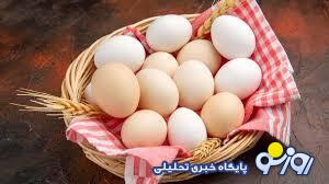 چرا تخم مرغ گران شد؟