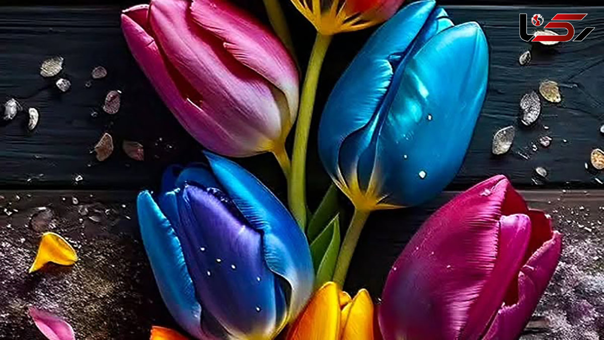 فال و طالع امروز 17 مهر