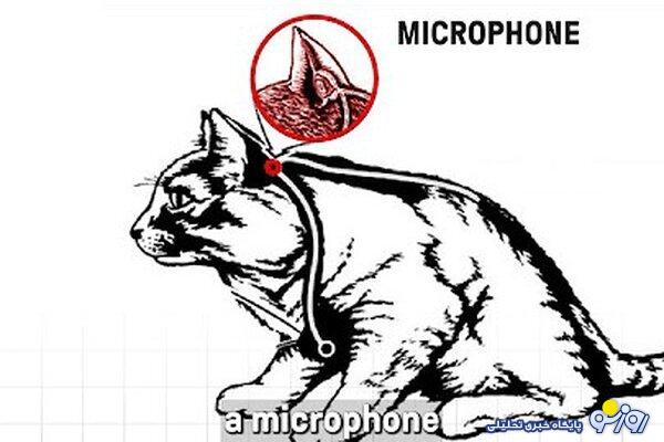 گربه‌ای که سازمان جاسوسی آمریکا استخدام کرد!