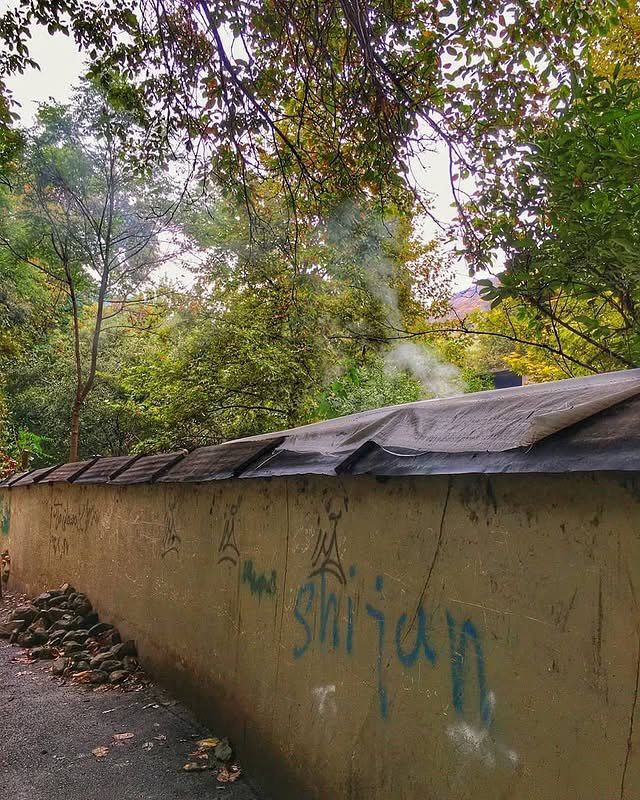 photo_2025-10-12_14-15-47