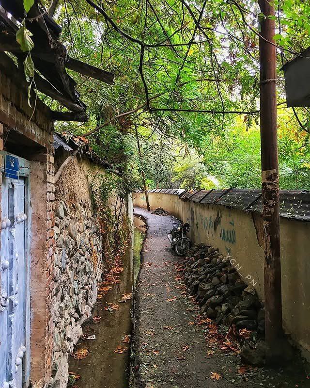 photo_2025-10-12_14-15-42