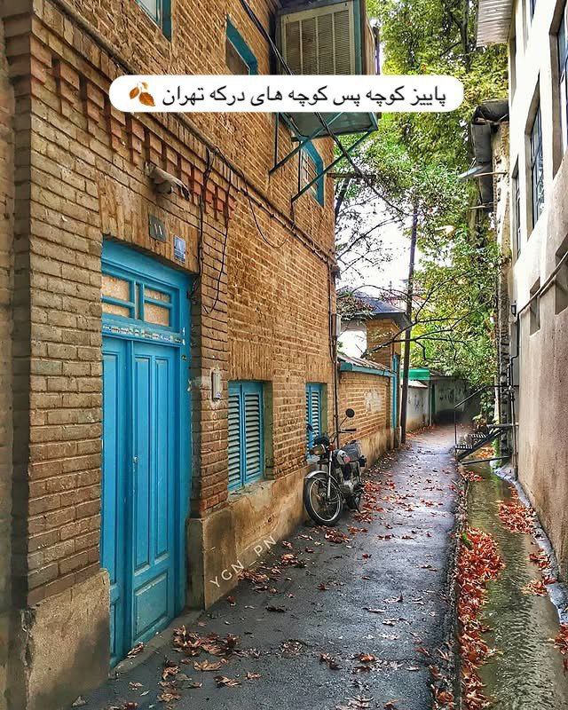 photo_2025-10-12_14-15-40