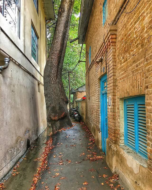 photo_2025-10-12_14-15-37