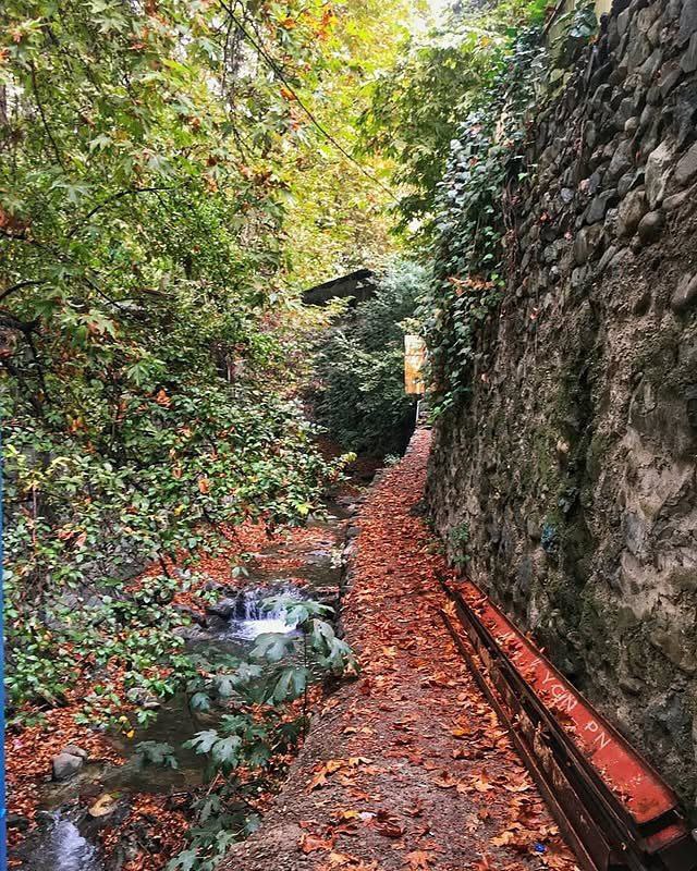 photo_2025-10-12_14-15-11