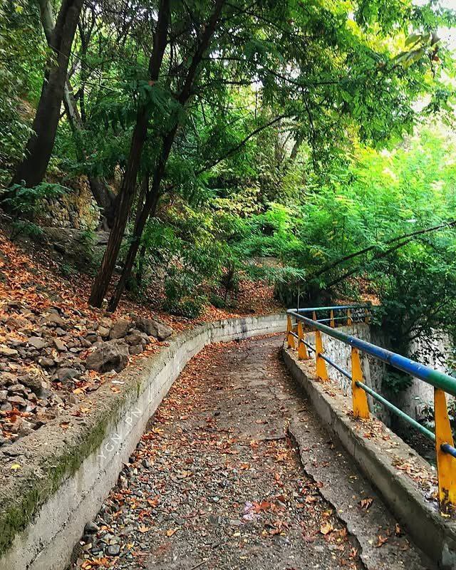 photo_2025-10-12_14-15-09