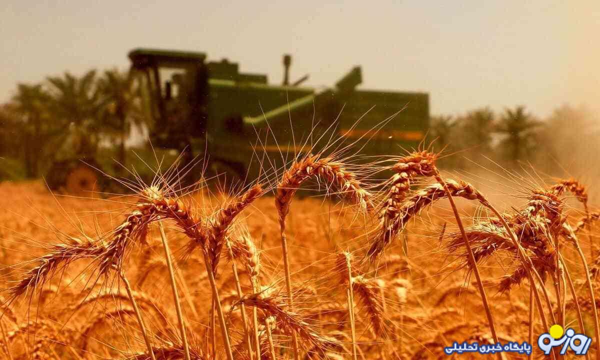 اطلاعیه رسمی وزارت جهاد کشاورزی درباره قیمت خرید تضمینی گندم