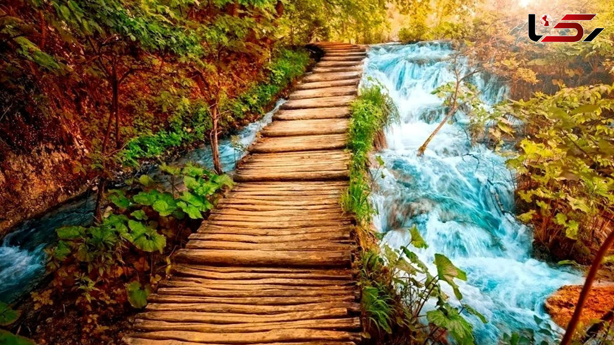 فال و طالع بینی روزانه 5 مهر