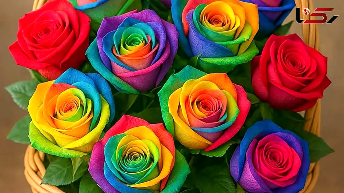 فال و طالع بینی روزانه 7 مهر فال و طالع بینی روزانه 7 مهر