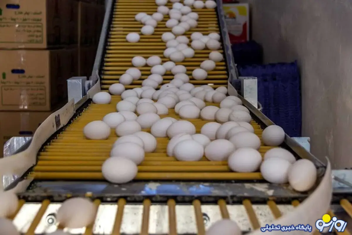 قیمت جدید تخممرغ اعلام شد قیمت جدید تخممرغ اعلام شد