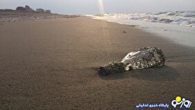 خزر هم به عاقبت دریاچه ارومیه دچار خواهد شد!