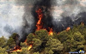 فاجعه هیرکانی نتیجه ضعف مدیریتی!