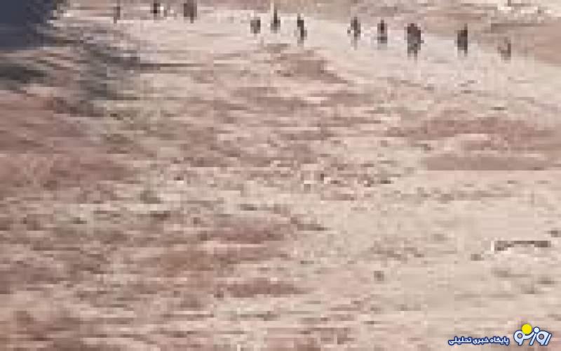 بعد از اینکه زاینده رود خشک شد اسبها بر تن خستهاش تافتند! بعد از اینکه زاینده رود خشک شد اسبها بر تن خستهاش تافتند!