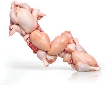 قیمت مرغ در آستانه جهشی بزرگ!