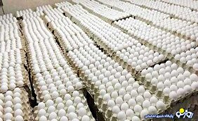 گرانی در مرغ و تخم مرغ پایان ندارد!