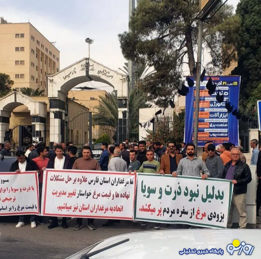 دلیل تجمع مرغداران استان فارس چه بود؟ دلیل تجمع مرغداران استان فارس چه بود؟