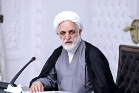 اژه‌ای: در بحث حجاب، واقعا شرایط قابل تحمل نیست/ معتقد هستم با همین قوانین موجود می‌توان جلوی ناهنجاری‌ها را سد کرد