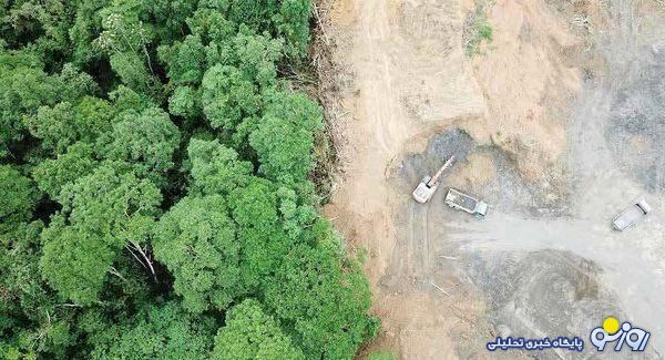 زمینخواری یکی از عوامل موثر در سوختن جنگلهای شمالی است زمینخواری یکی از عوامل موثر در سوختن جنگلهای شمالی است