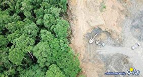 زمین‌خواری یکی از عوامل موثر در سوختن جنگل‌های شمالی است