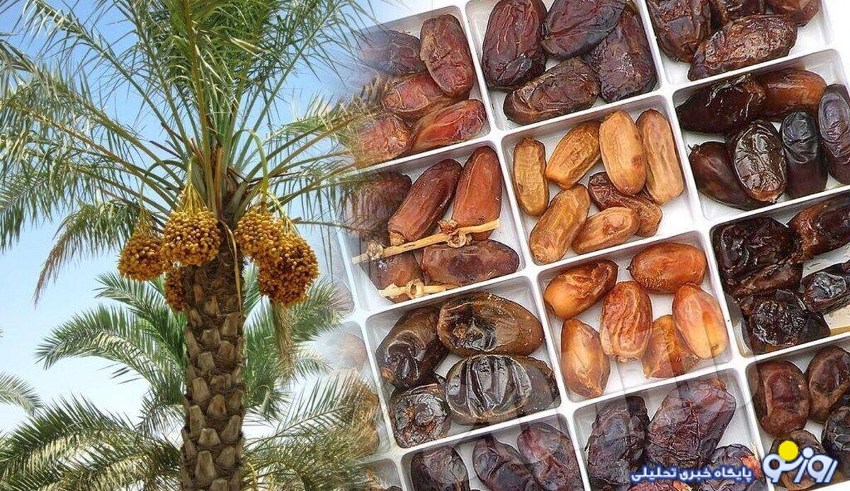 دیگه از خرما انتظار نداشتیم با این قیمتها بشینه پشت ویترین! دیگه از خرما انتظار نداشتیم با این قیمتها بشینه پشت ویترین!