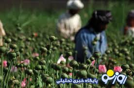 مشکلی به نام تریاک! مشکلی به نام تریاک!