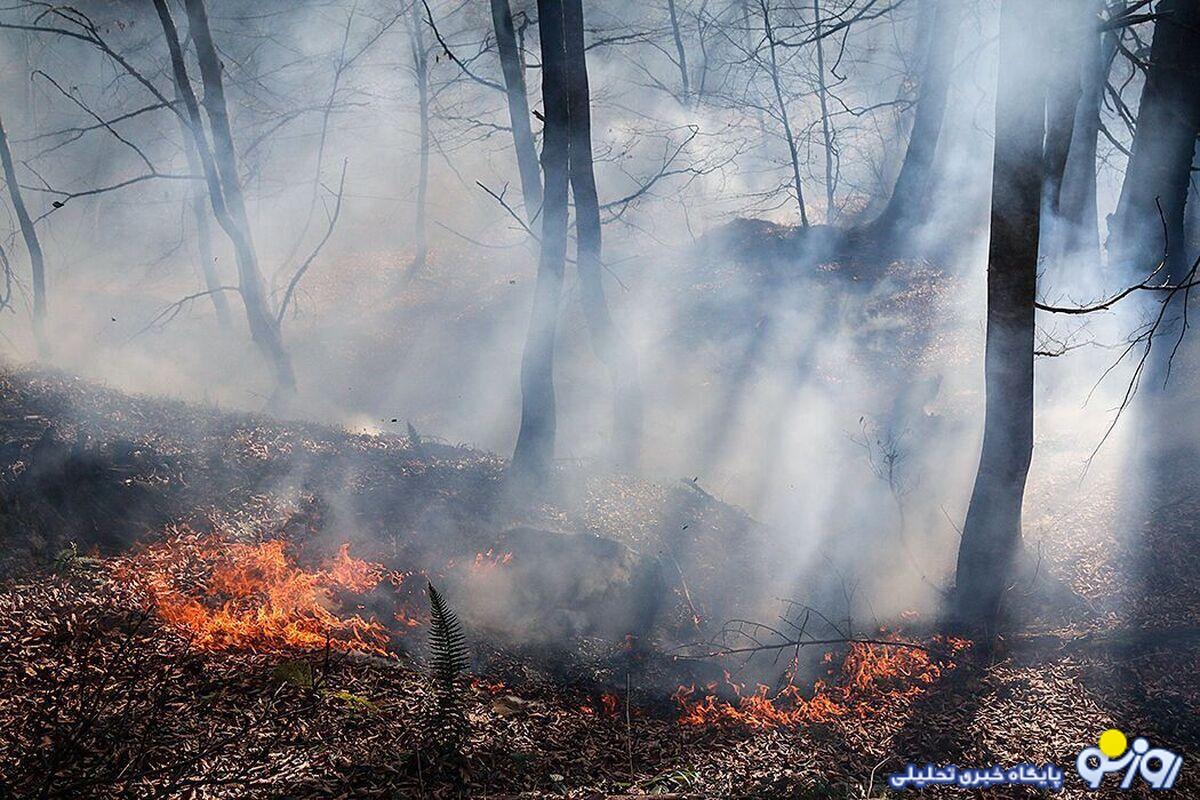 مدیریت بحران: احتمال شعلهور شدن مجدد آتش در جنگلهای هیرکانی وجود دارد مدیریت بحران: احتمال شعلهور شدن مجدد آتش در جنگلهای هیرکانی وجود دارد