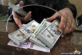 کاهش ۲ میلیارد دلاری تامین ارز کشور نتیجه مکانیسم ماشه نیست پس چیست؟!