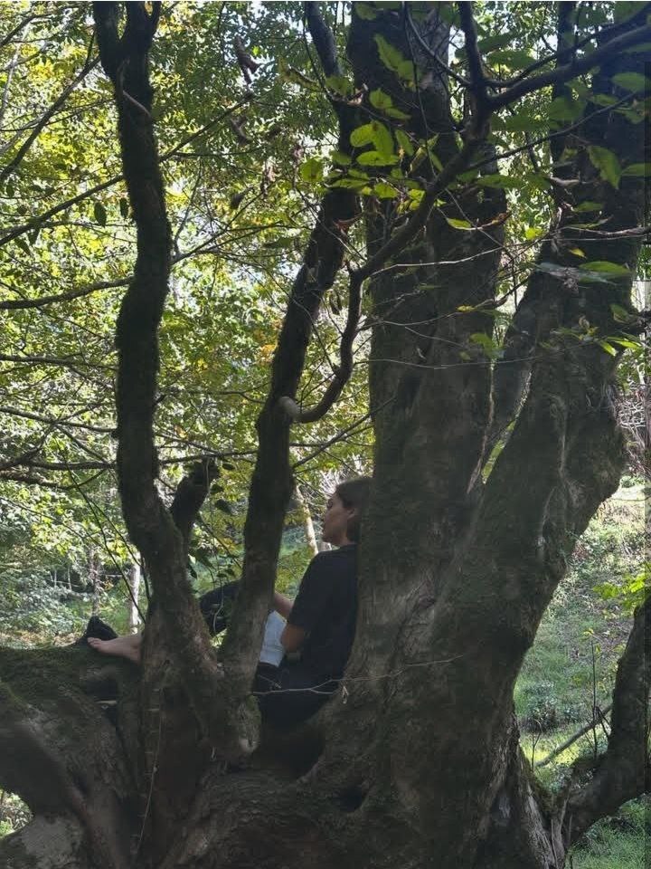 زادروز دیبا زاهدی