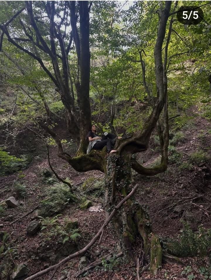 دیبا زاهدی بازیگر