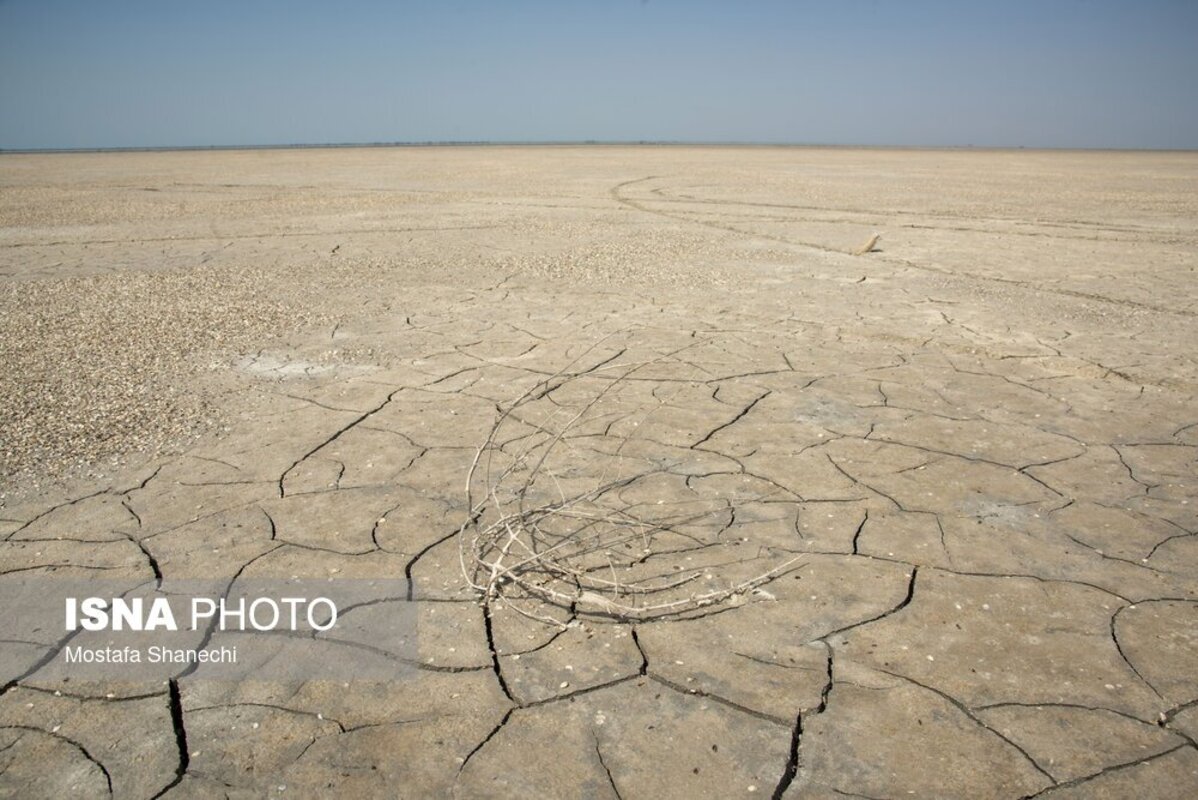 دریای خزر آخرین نفسهایش را میکشد