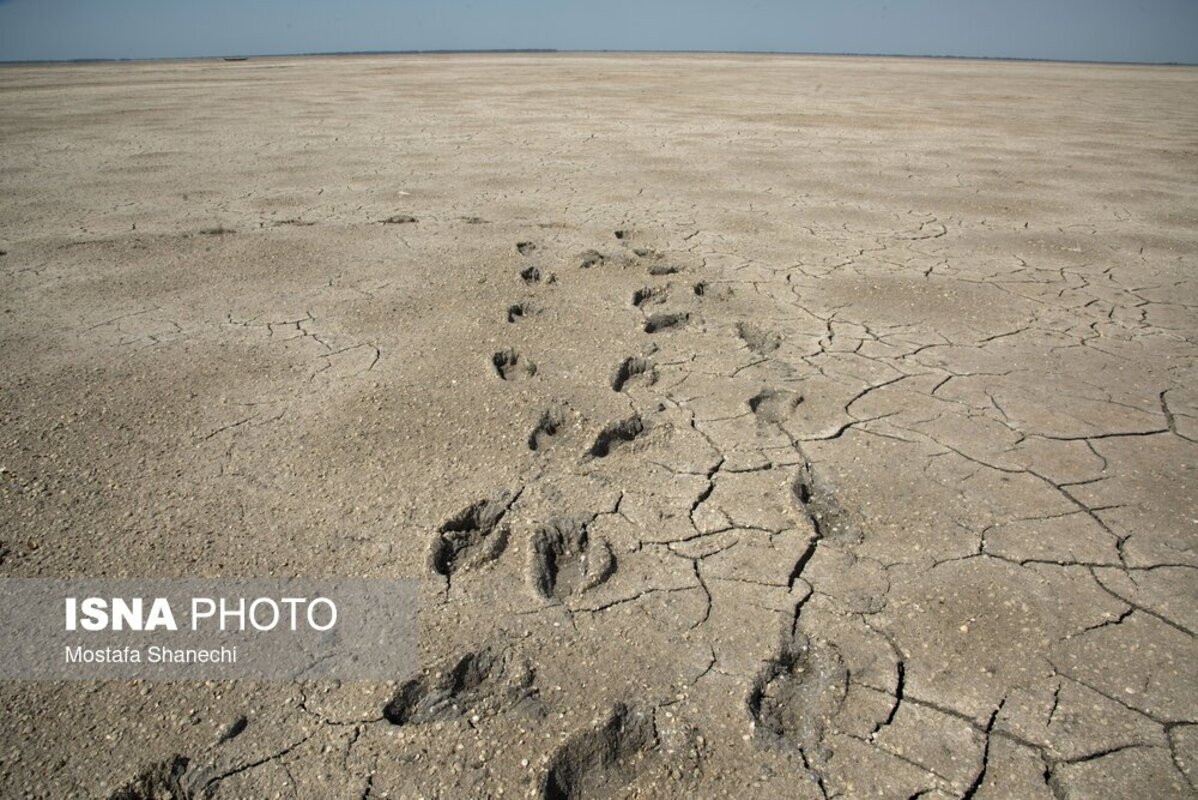 دریای خزر آخرین نفسهایش را میکشد