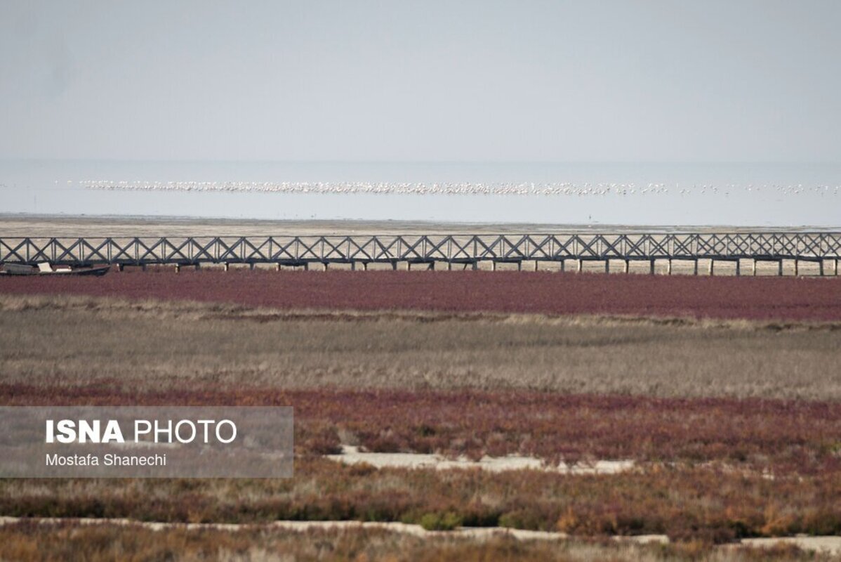 دریای خزر آخرین نفسهایش را میکشد