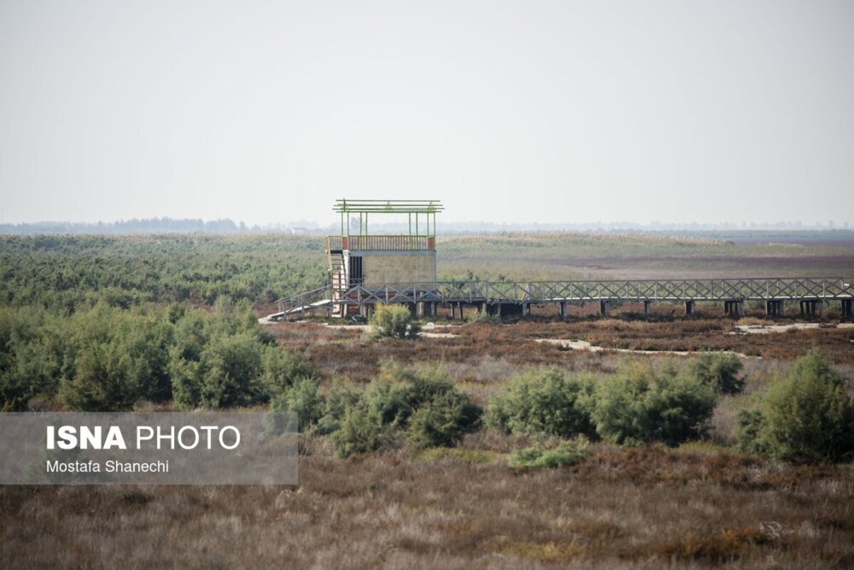 دریای خزر آخرین نفسهایش را میکشد
