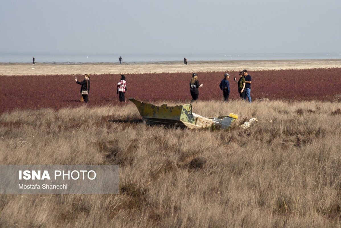 دریای خزر آخرین نفسهایش را میکشد