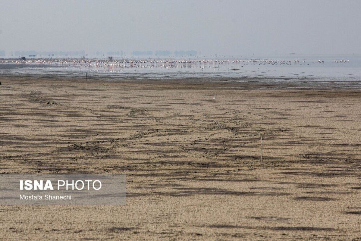 دریای خزر آخرین نفسهایش را میکشد