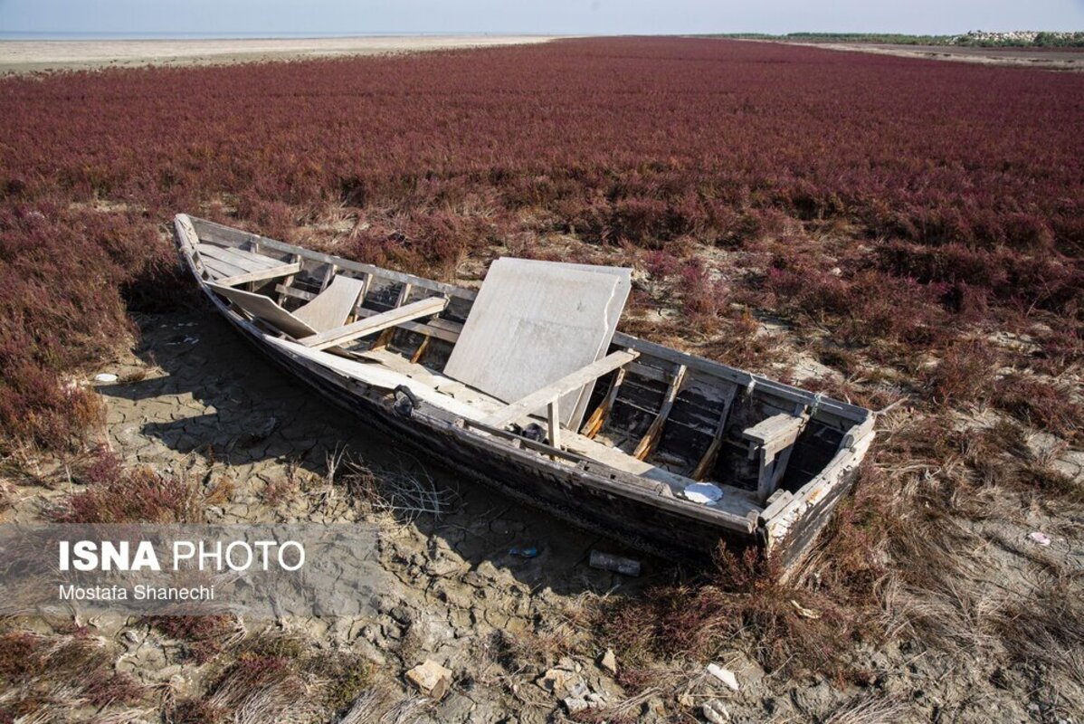 دریای خزر آخرین نفسهایش را میکشد