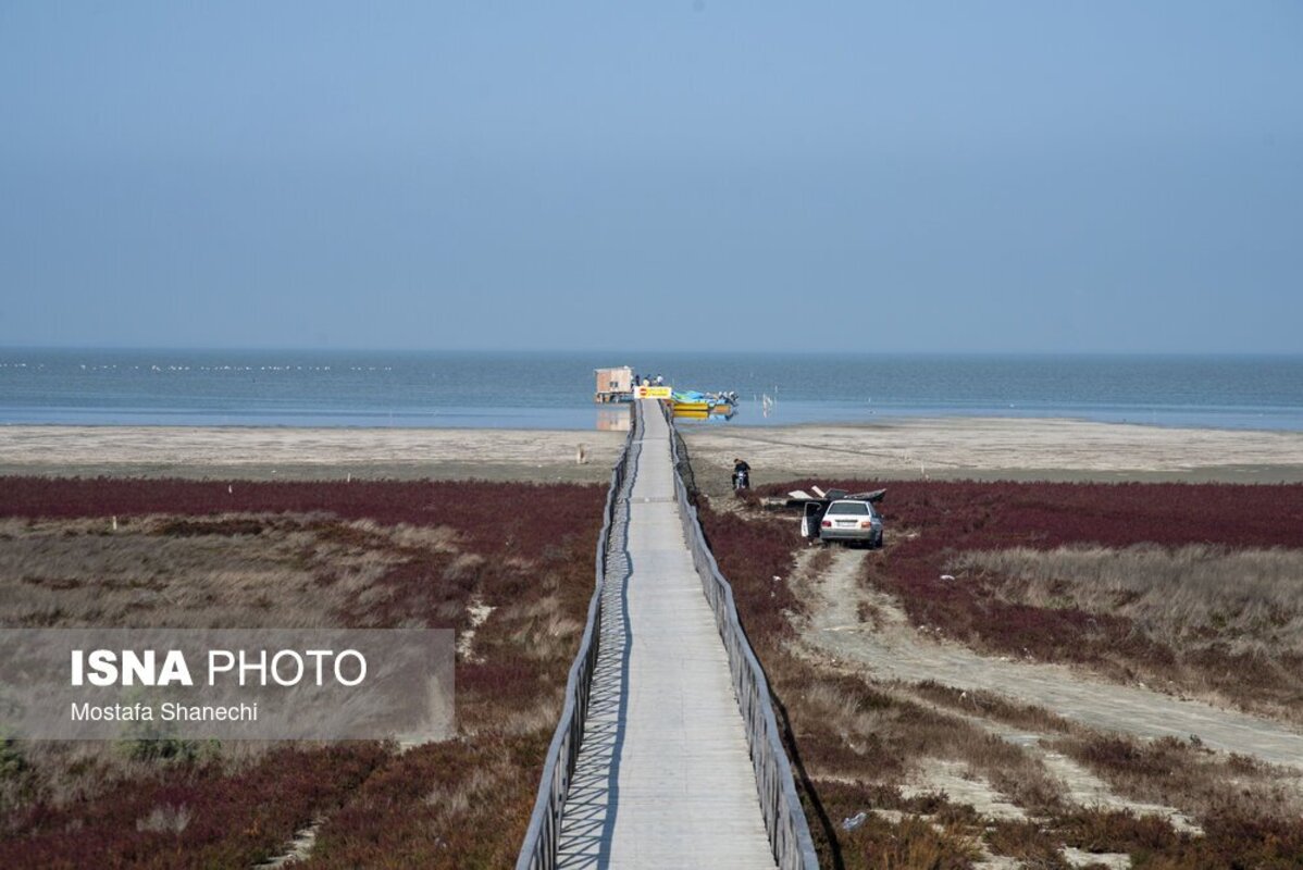 دریای خزر آخرین نفسهایش را میکشد