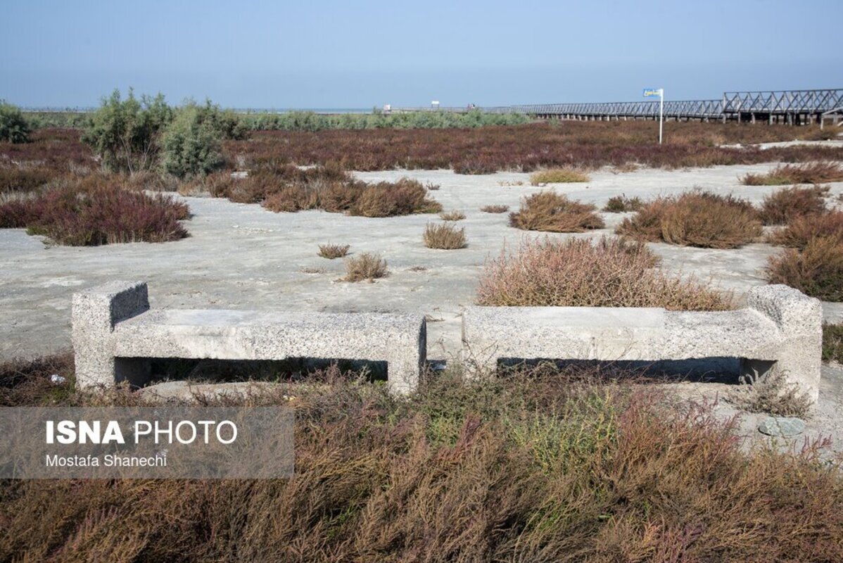دریای خزر آخرین نفسهایش را میکشد