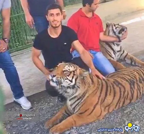 بازیکن پرسپولیس در باغ وحش ! +عکس