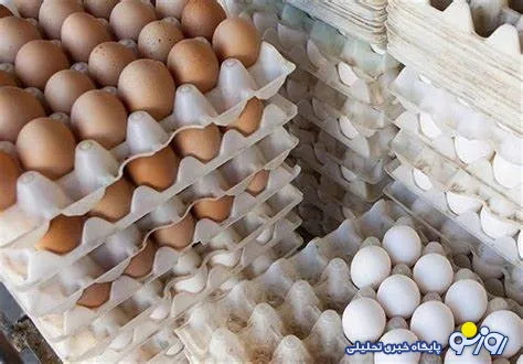 بازار تخم مرغ به زودی تنظیم می‌شود