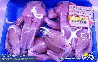 فروش گوشت قورباغه چینی در تهران/عكس