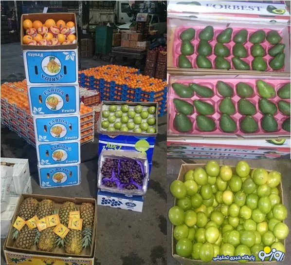 احتمال خرابکاری میکروبی در میوه های وارداتی